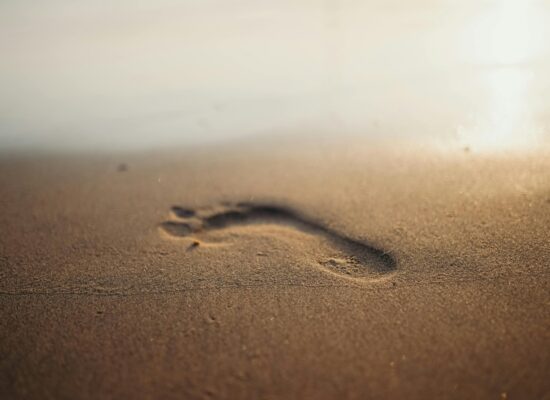 A single footprint in wet sand near the water's edge.