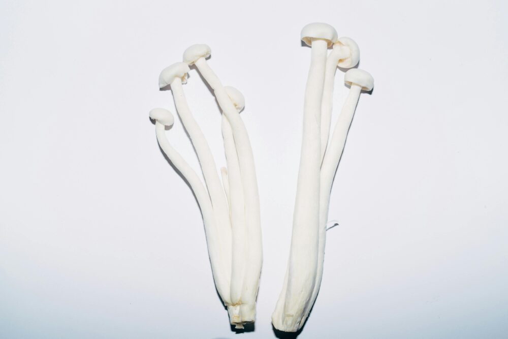 Several long, white mushrooms on a plain white background.