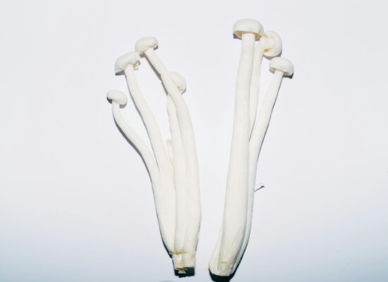 Several long, white mushrooms on a plain white background.